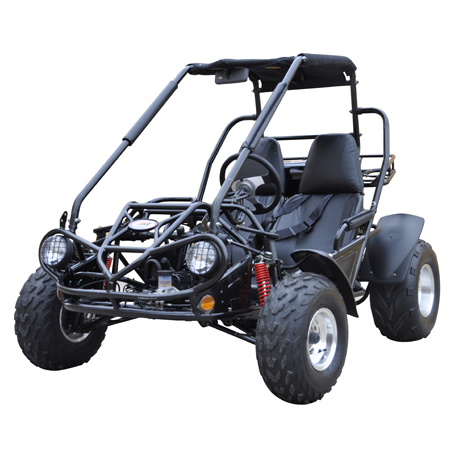 150cc buggy for sale