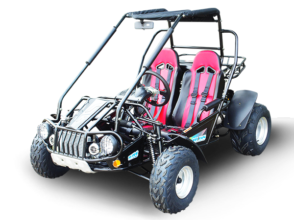 TrailMaster 300XRS