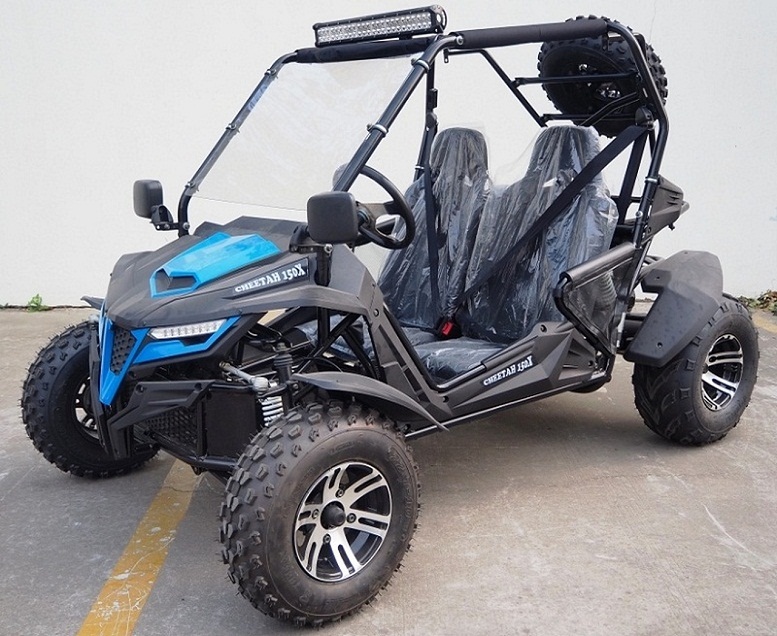 TrailMaster Cheetah 200X