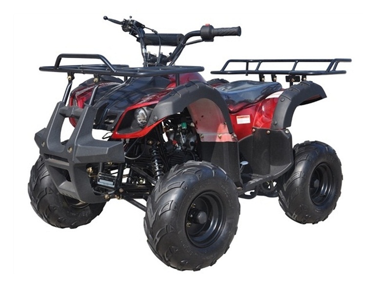 Buy ICE BEAR 125cc Youth Quad ATV w/ reverse 