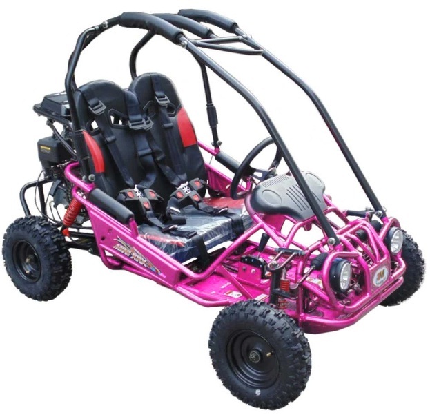 Trailmaster Mini XRX-R Go Kart