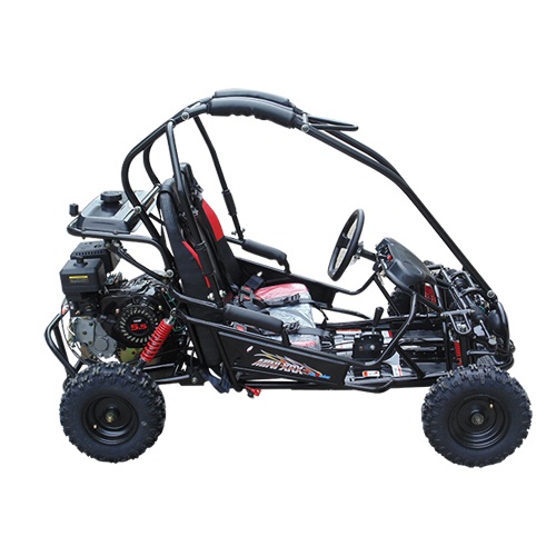 Trailmaster Mini XRX-R Go Kart