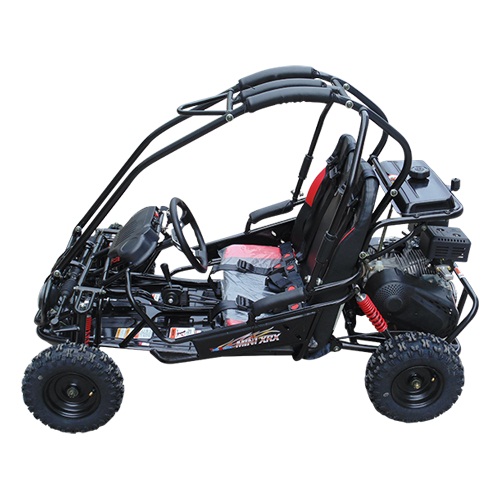 Trailmaster Mini XRX-R Go Kart