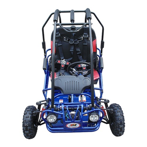 Trailmaster Mini XRX-R Go Kart