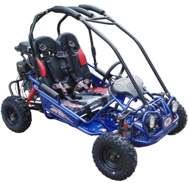 Trailmaster Mini XRX-R Go Kart