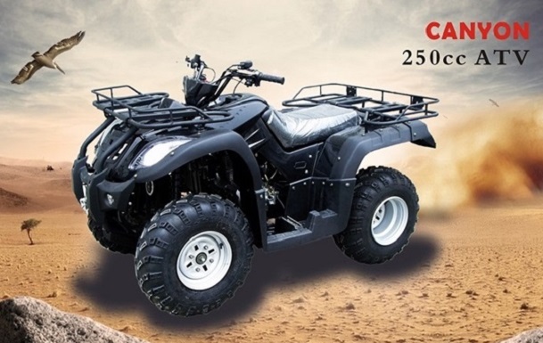 RPS canyon 250