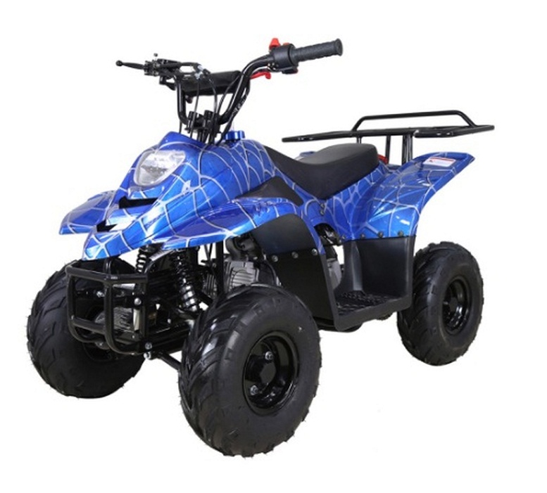 RPS 110CC Raider 6