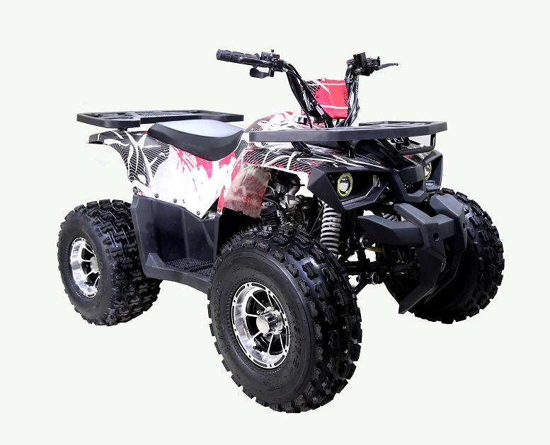 Raptor 125 квадроцикл. Раптор 125. Квадроцикл Raptor Sport 125 8atv.