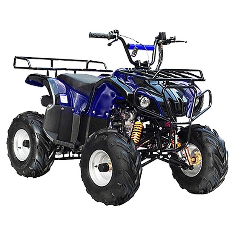  Quad de gasolina ATA-110D de TaoTao, 110 cc, para niños,  Burgundy : Automotriz