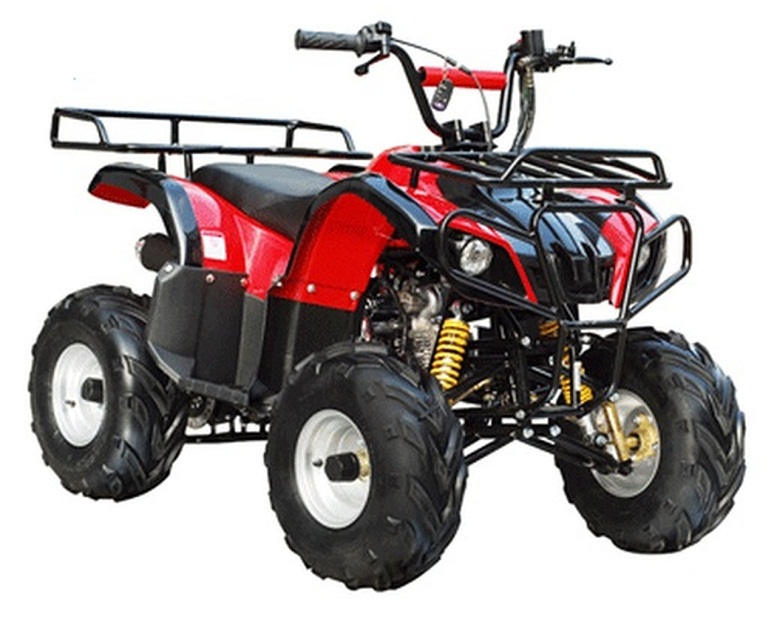 Quad de gasolina ATA-110D de TaoTao, 110 cc, para niños, Burgundy :  Automotriz 