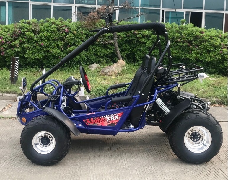 TM 200E XRX EFI GO KART